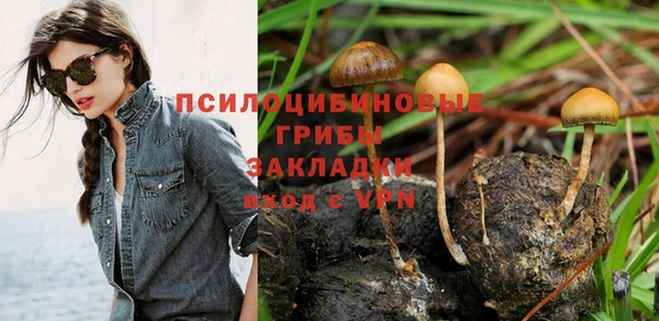 дмт Алексин