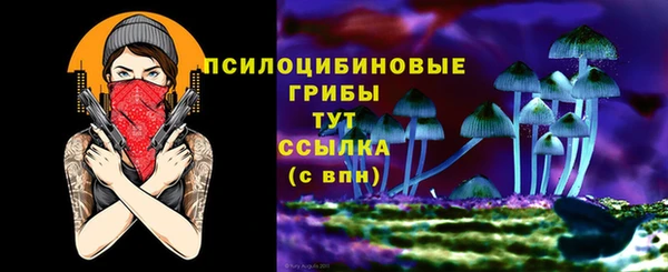 амф Алзамай